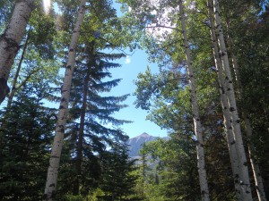 Banff Summer2010