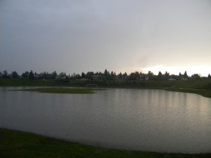 Wet Pond1
