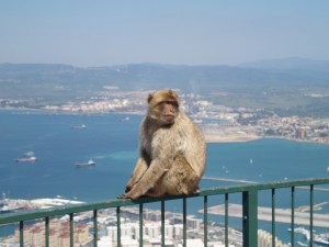 Malaga