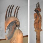 Kamapua'a collage