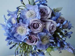 Flowers for Lev6