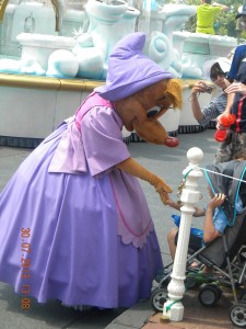 Orlando Disney Land (cover)